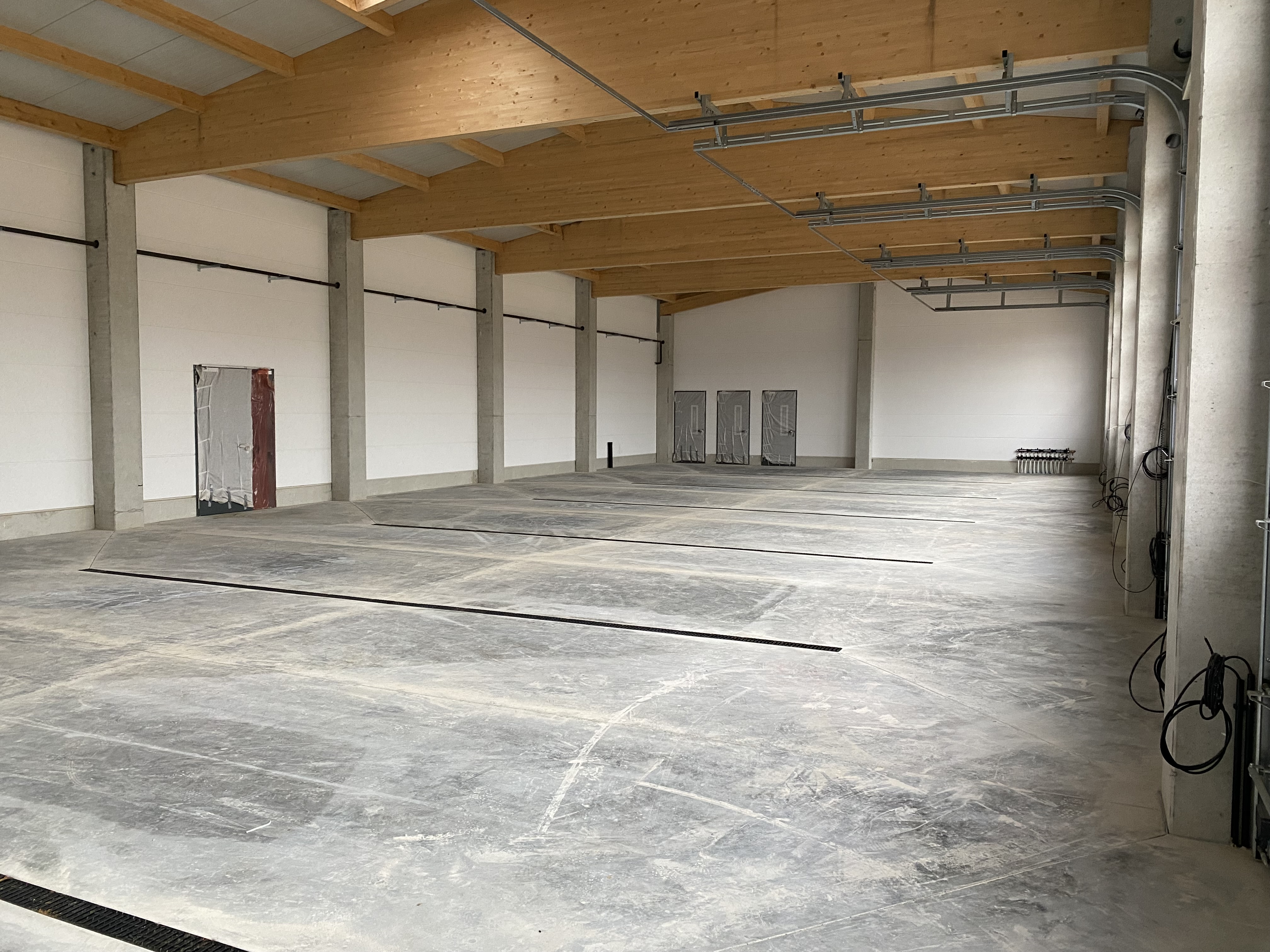 2024-12-05_Neubau_Fortschritt_1